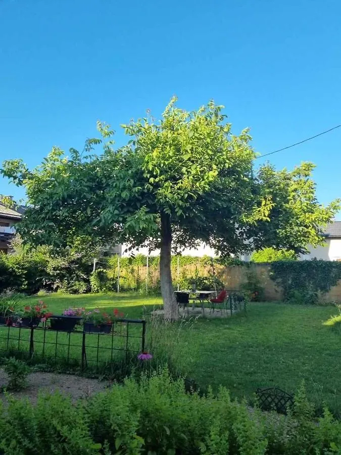 Homestay Art Room With Outdoor Living Ljubljana Slovenia